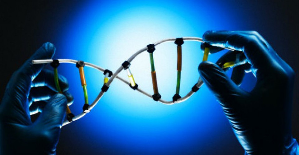 Via libera del Parlamento europeo alla proposta sulle Nuove tecniche genomiche