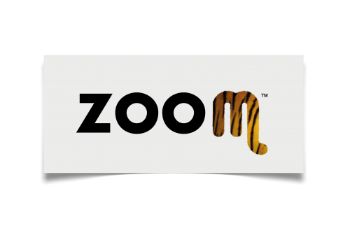 Es_ZOOM logo