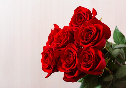 Rose rosse San Valentino