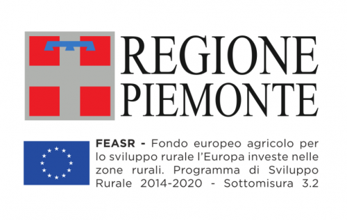 Loghi Regione Piemonte e PSR