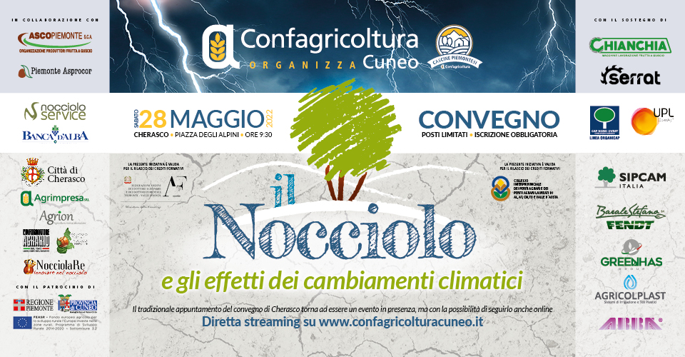 NOCCIOLO-banner