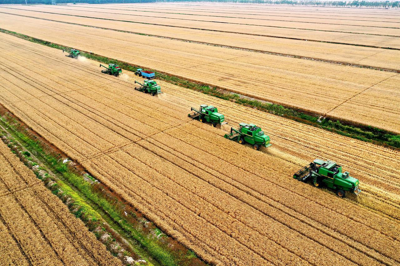 macchine agricole sostenibili in un campo di grano