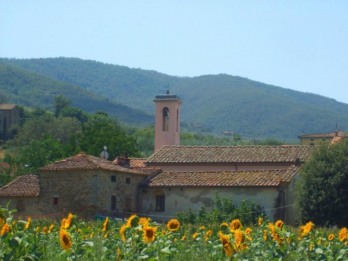 paesaggio rurale con chiesa e girasoli