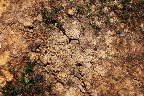 Terreno essiccato a causa della siccità