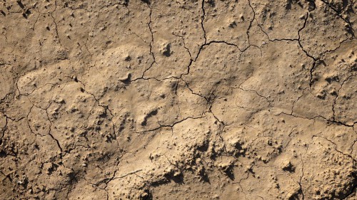 terreno asciutto a causa della siccità