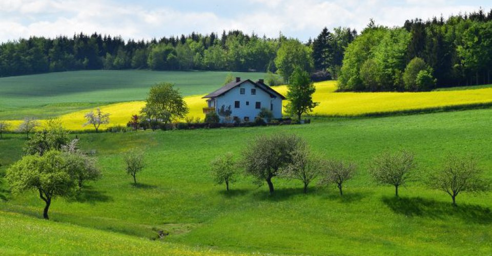 Vacanze, Agriturist (Confagricoltura): Estate 2022 in campagna all’insegna di natura, enogastronomia e ritmi lenti