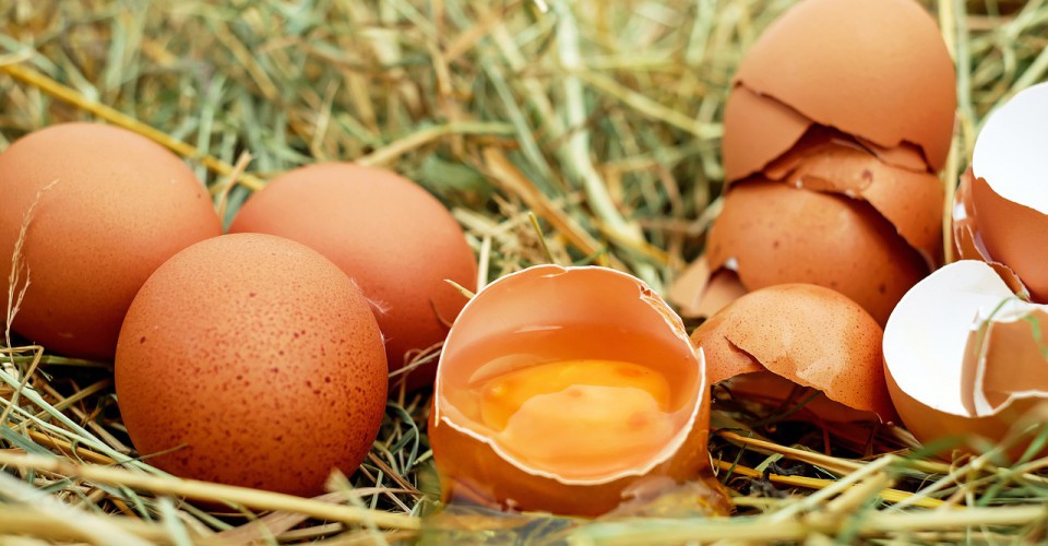 Boom di acquisti di uova da parte delle famiglie, ma le imprese di allevamento sono in difficoltà