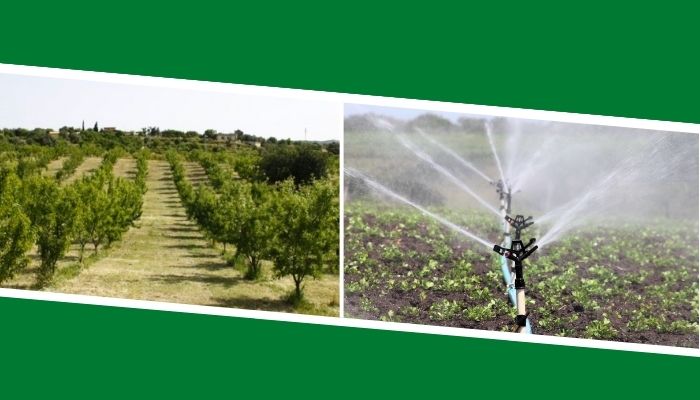 corsi-irrigazione-frutticoltura