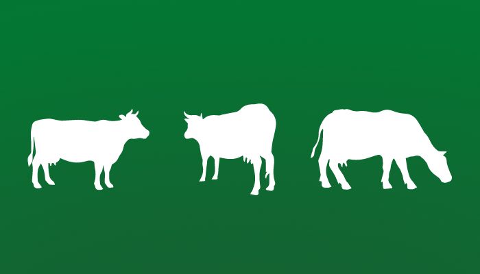 mucche-stilizzate