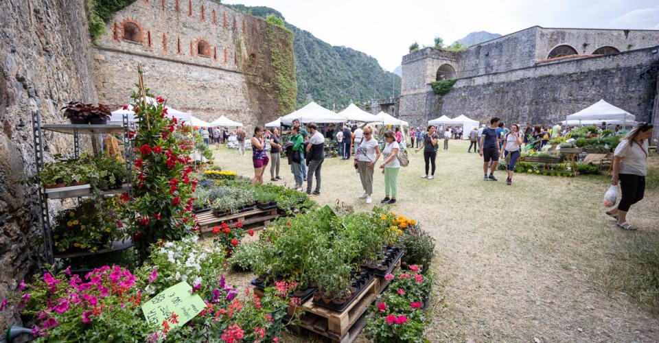 Aperte le manifestazioni d’interesse per la quarta edizione della mostra mercato “Forte in fiore” a Vinadio