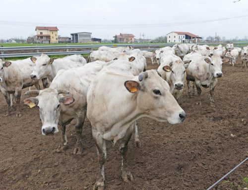 Qualità dell’Aria, Confagricoltura alla Regione: “Aziende in difficoltà ad adeguarsi entro il 31 dicembre”