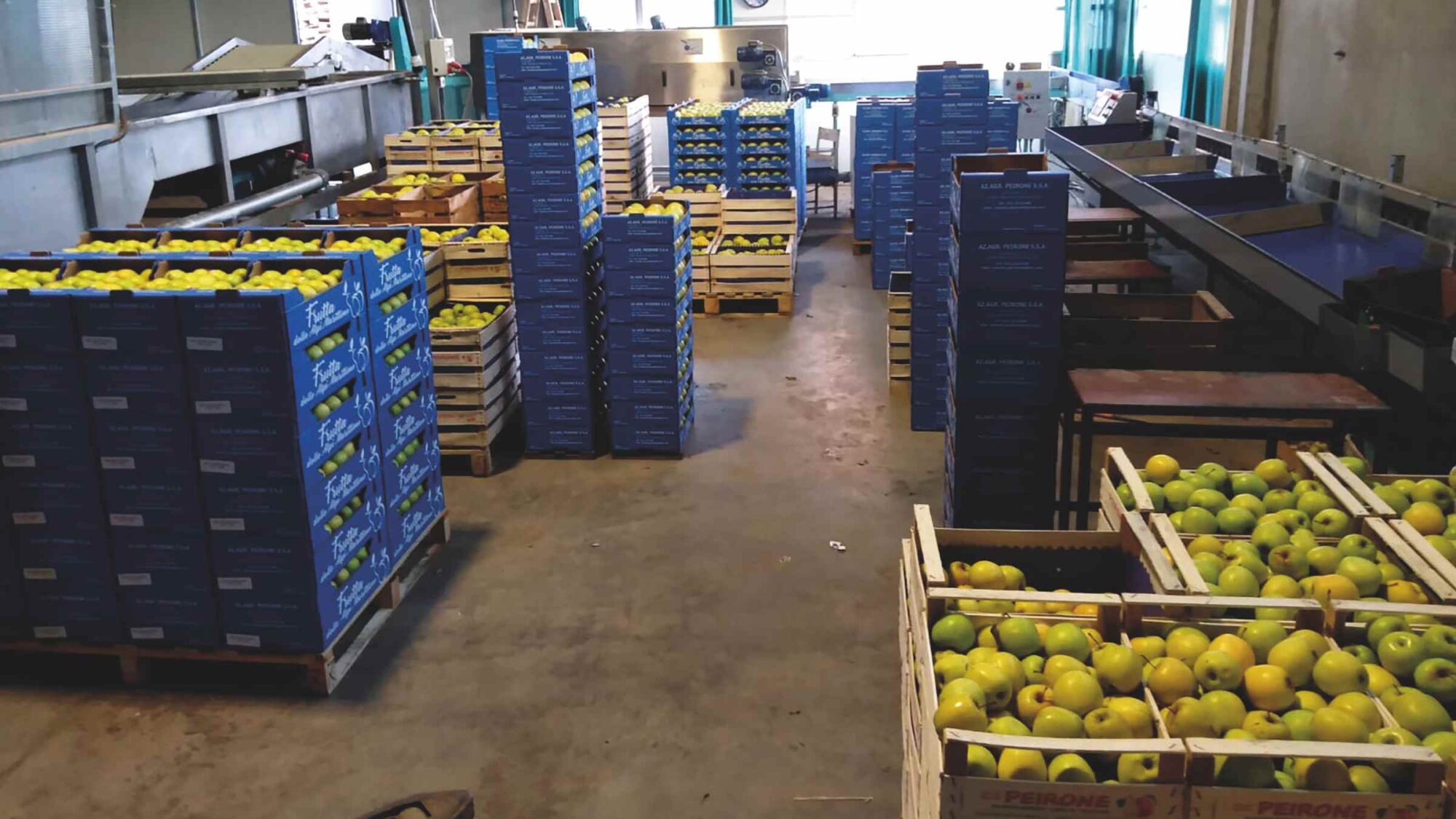 Famiglia-Peirone-azienda