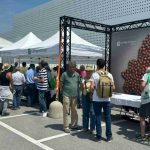 La Nocciola Piemonte IGP e la Nocciola Piemonte IGP delle Langhe: prodotti di eccellenza, risorsa e valorizzazione di un territorio” (Cherasco, 23 maggio 2026)