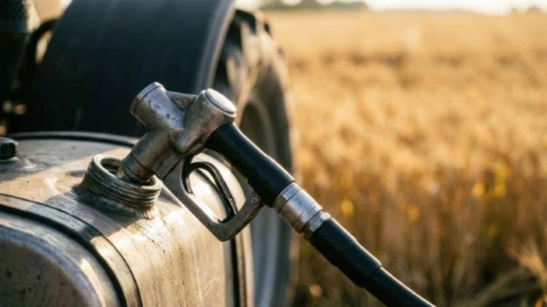 gasolio