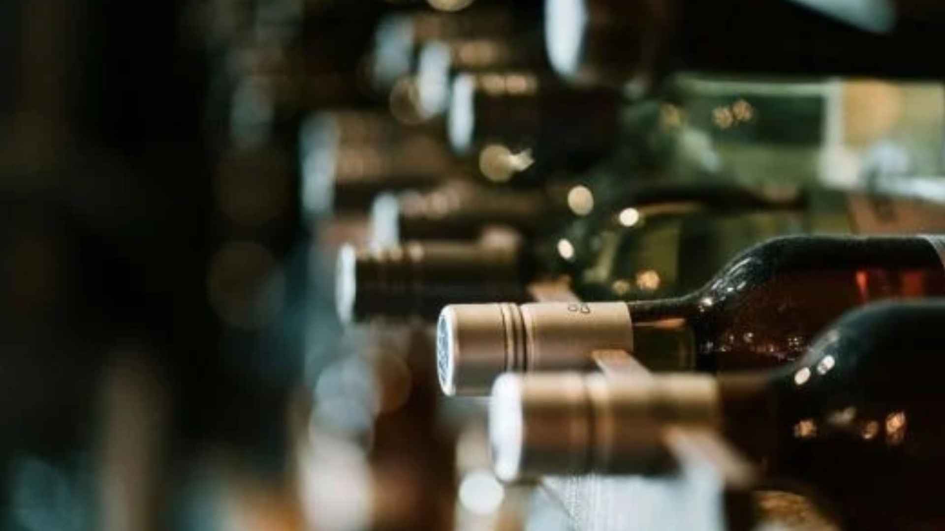 vitivinicolo